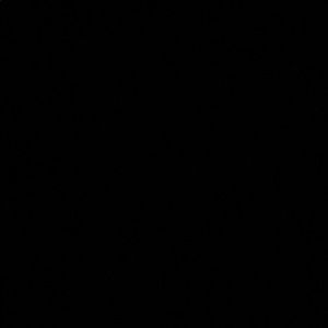 Meet your Posher, Alesya